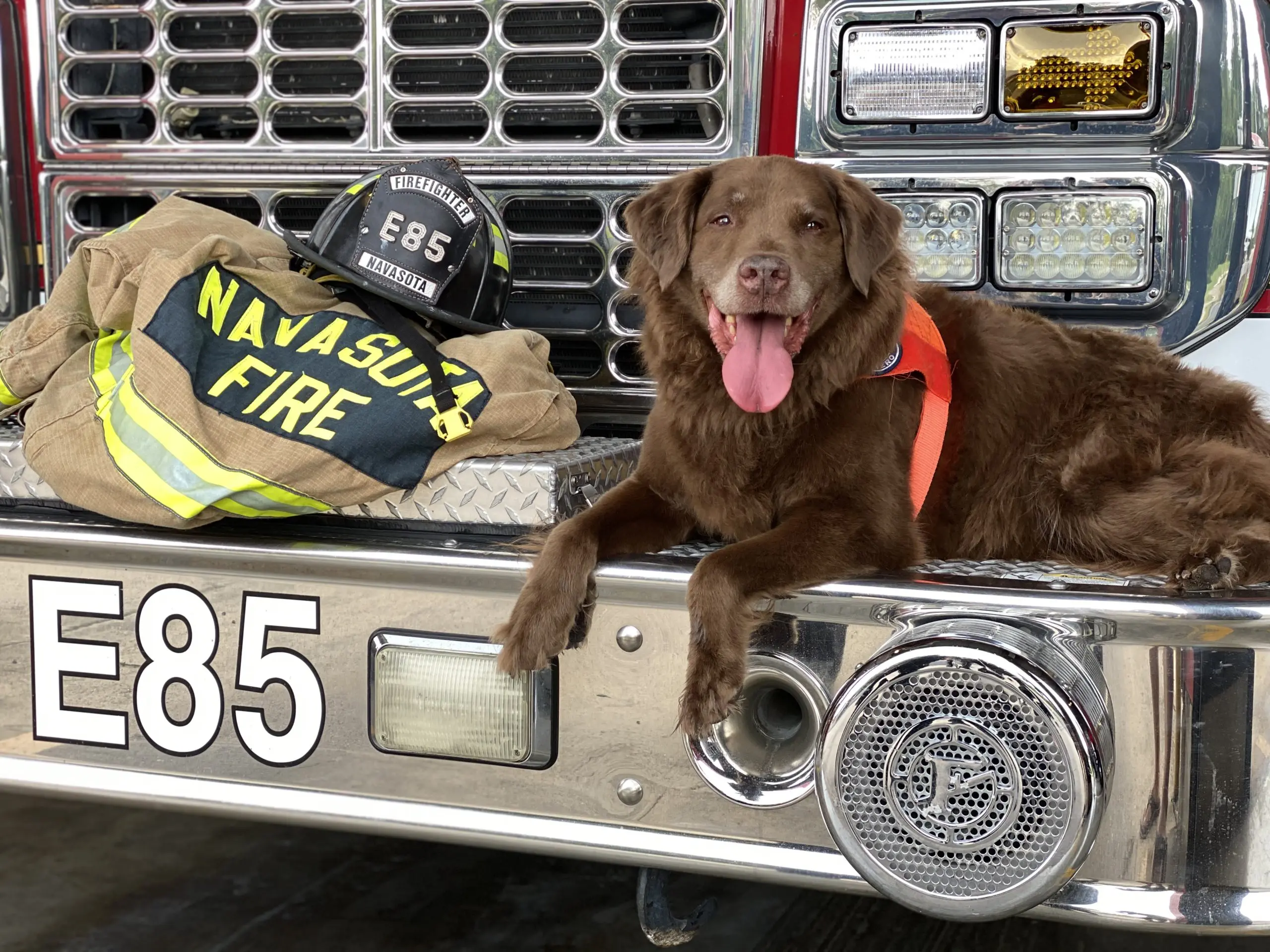 A dog sitting on the front bumper of a firetruck.