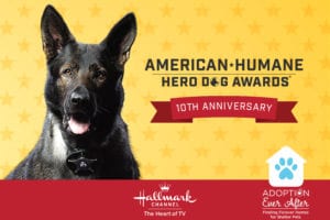 Image of a dog next to text. Text: American-Humane Hero Dog Awards 10th Anniversary.