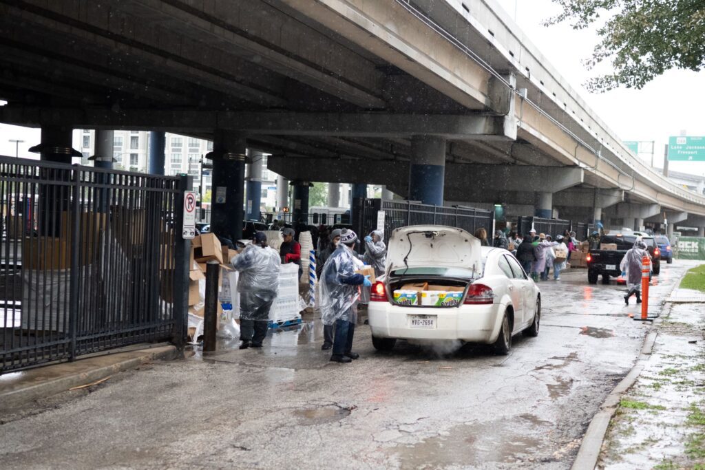 Line of vehicles with trunks open