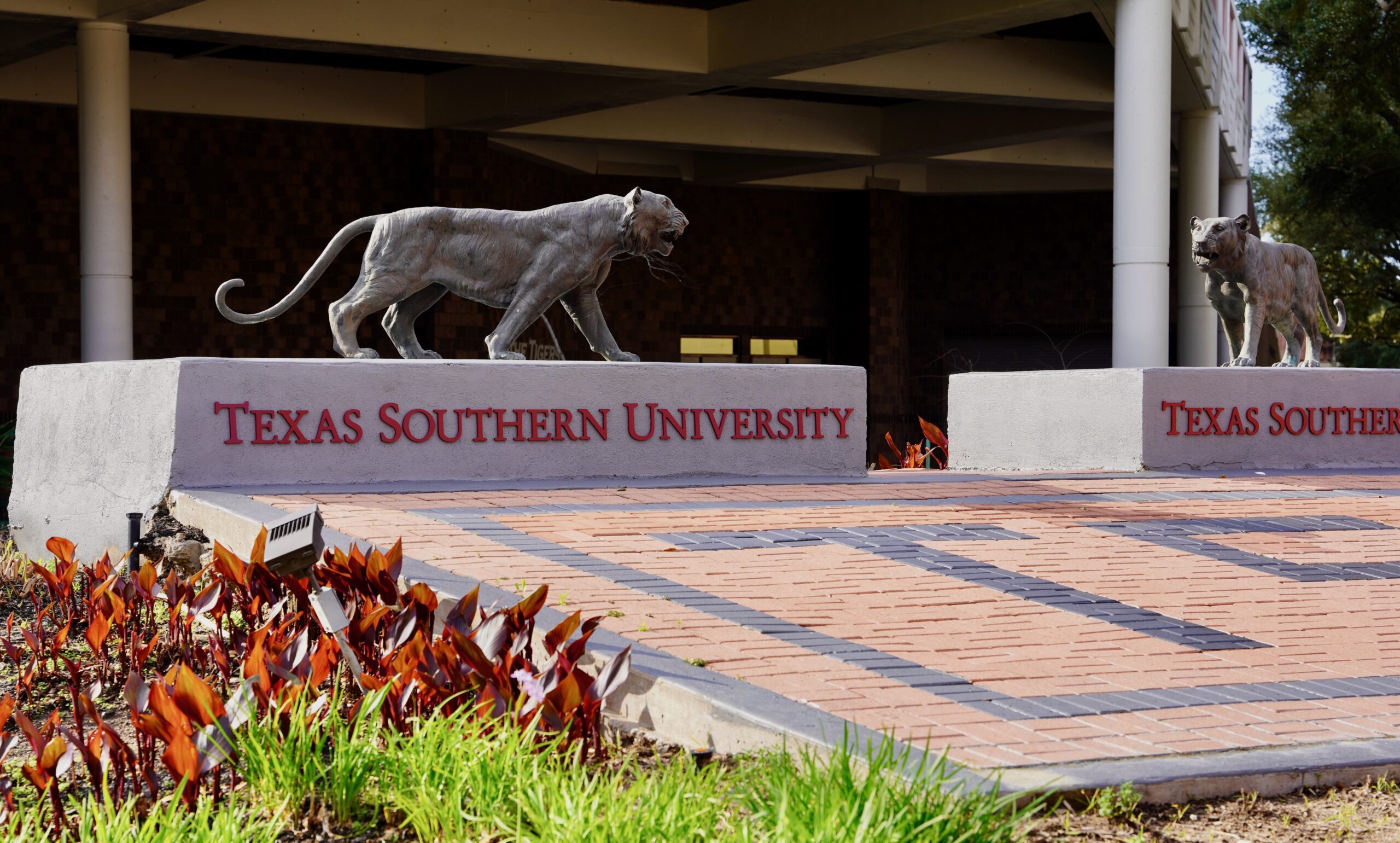 Texas Southern University