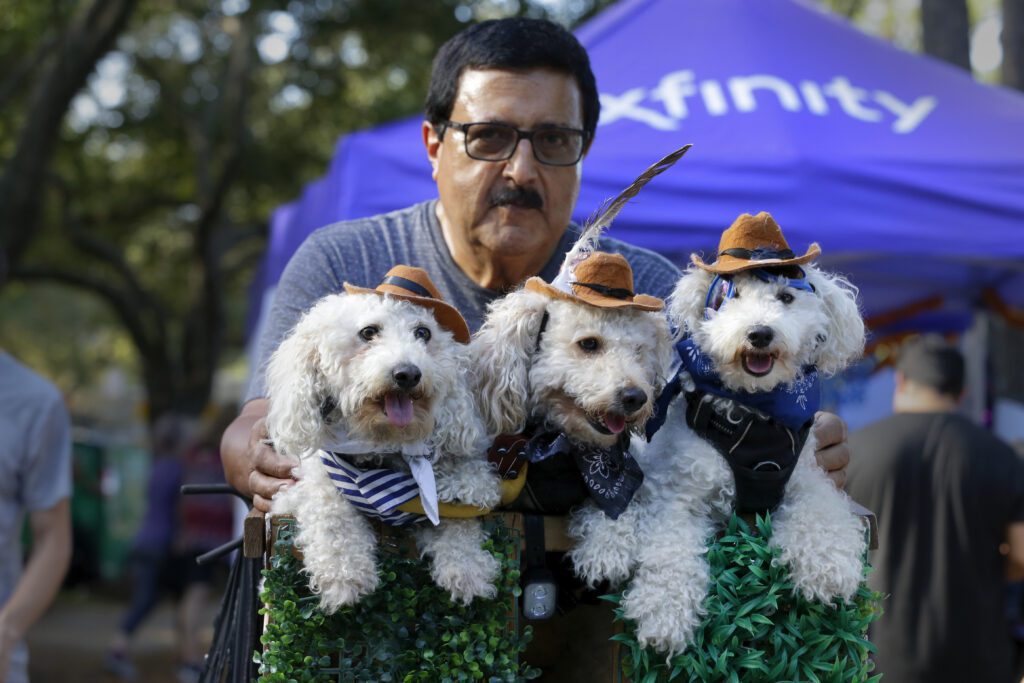 Attendees enjoy the festivities during the Comcast Kingwood Takeover, held at the Kingwood Town Center Park on Saturday, Oct. 28, 2023 in Kingwood, TX. (Michael Wyke/AP Images for Comcast)